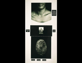 Diane Villani Editions